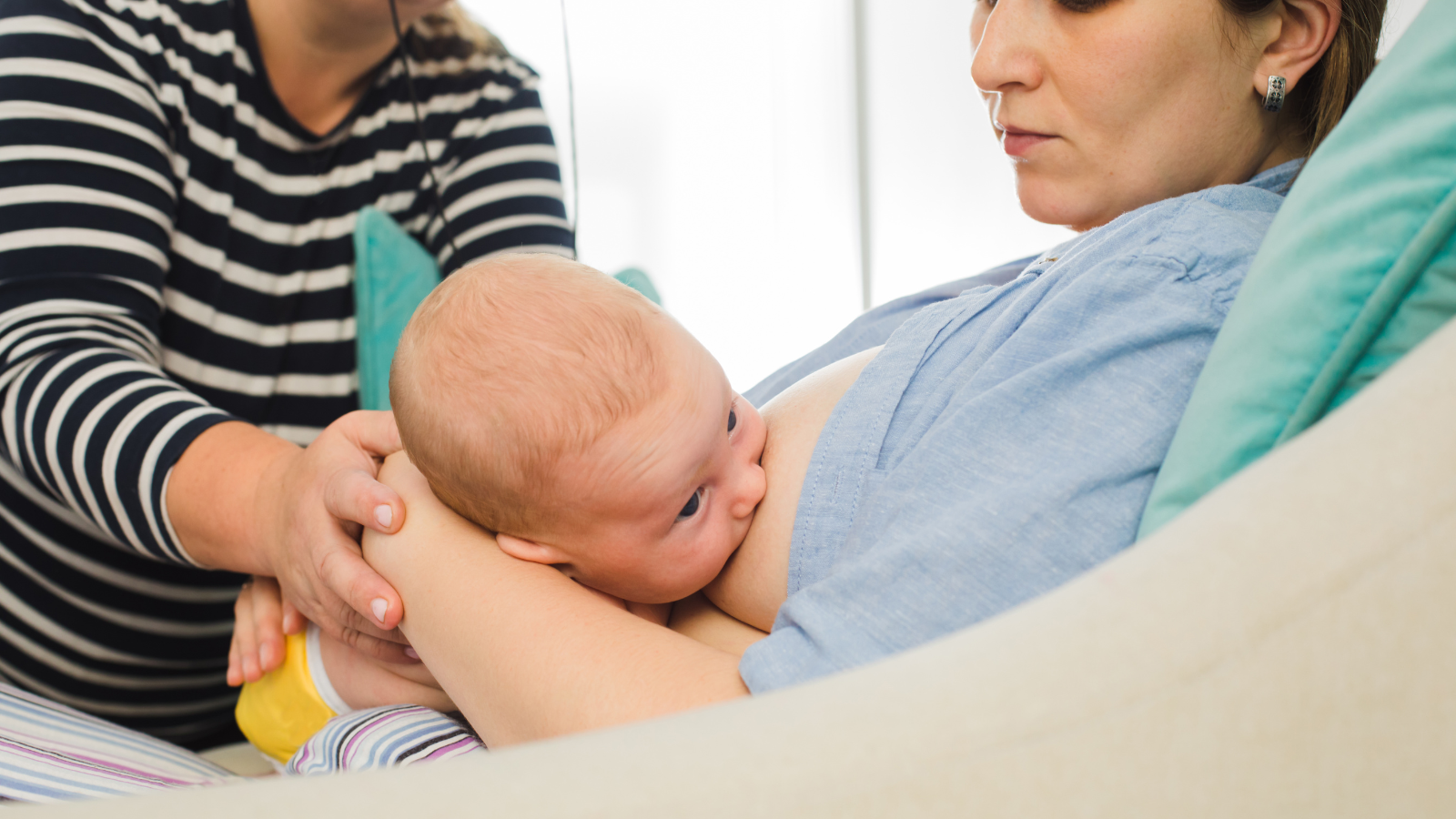 Parent and clinician supporting a baby during a calm, guided breastfeeding session, demonstrating infant feeding assessment and positioning.
