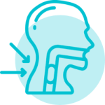 Simple anatomical throat icon representing swallowing, airway protection and dysphagia support.